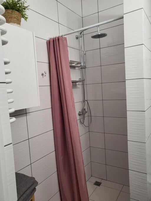 Z Kuchnia I Lazienka Apartment Zyrardow